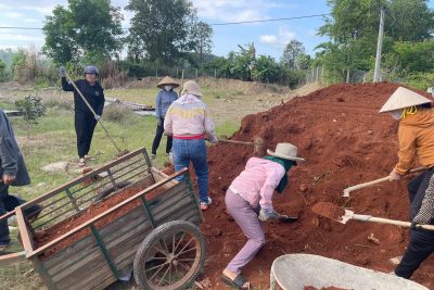 Tập thể CBGVNV cùng học sinh lao động trồng cây và dọn cỏ khuôn viên trường